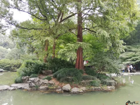 杭州植物园
