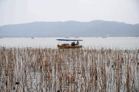 西湖景色10