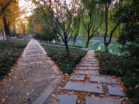 湘湖东岸的人行走道
