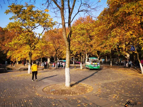 深秋，涌金门外