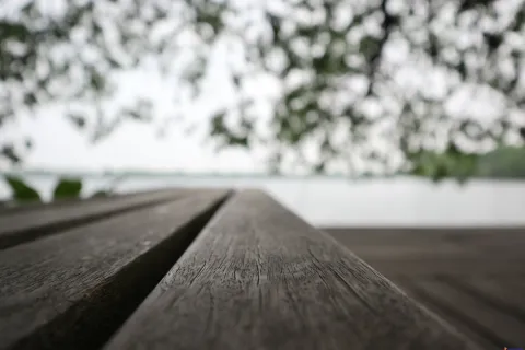 湖面边上的木走道
