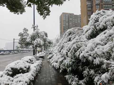 2018年的尾巴尽然下了一场不小的雪