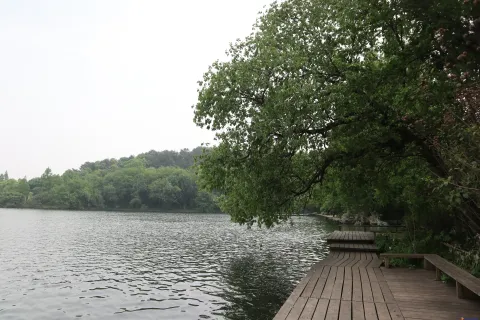 湖面边上的木走道
