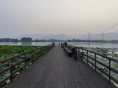 长田漾湿地公园8