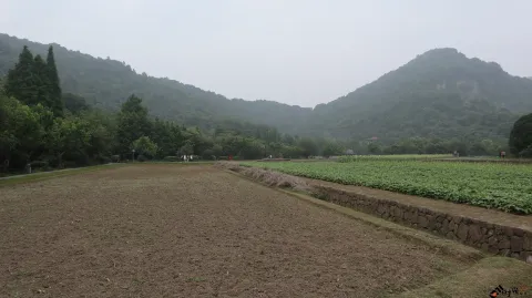 玉皇山下八卦田的景色