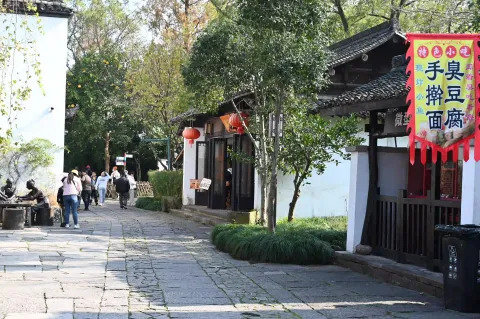 西溪湿地19
