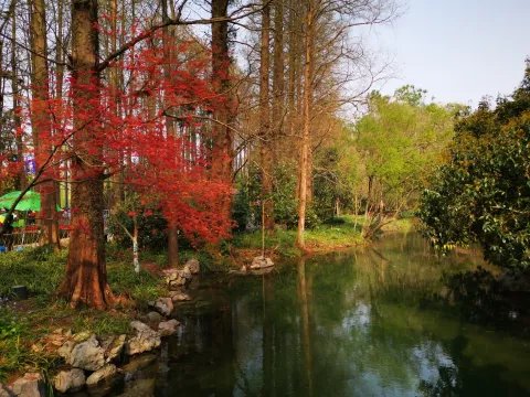 太子湾踏春55