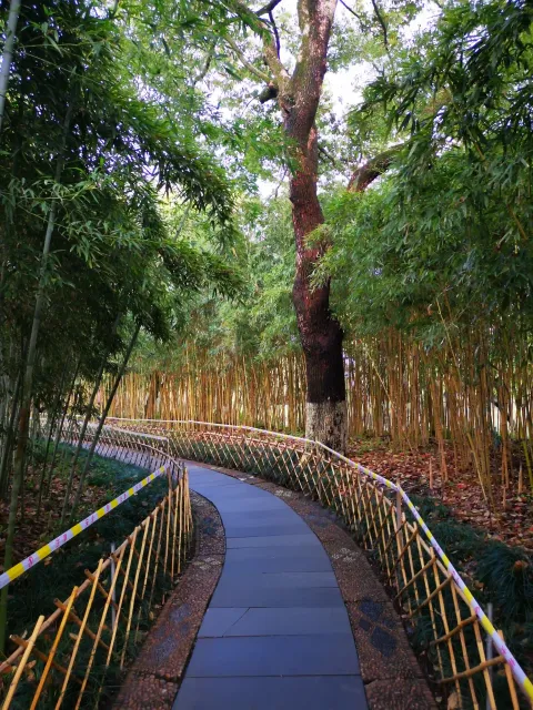小瀛洲19