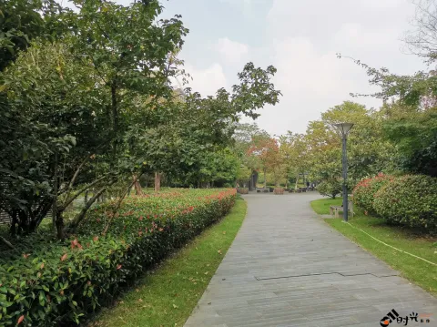 钱江CBD公园