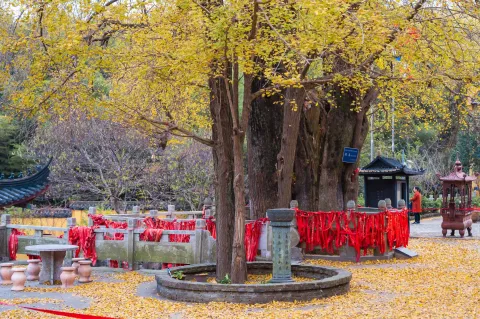 湖州仙顶寺2