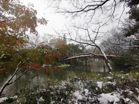 西湖边的雪景