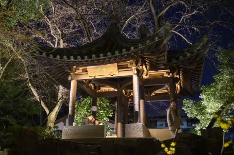 夜幕下的沈园16