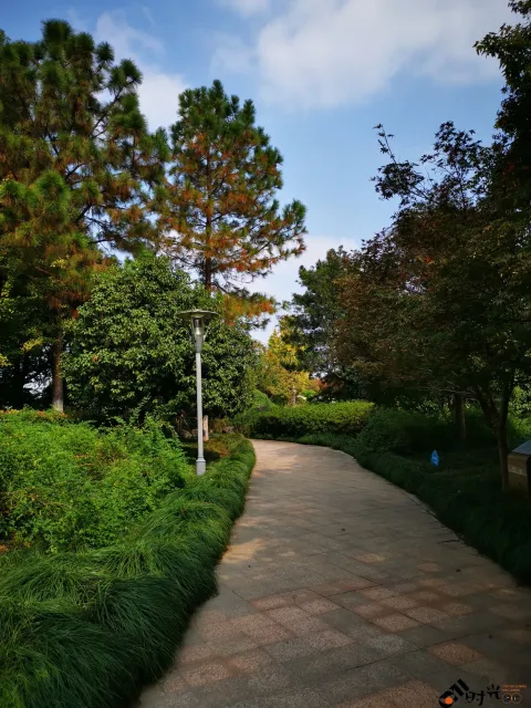 滨江公园一景