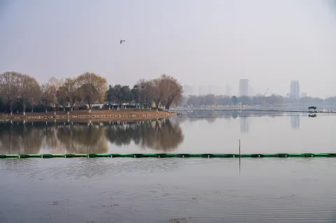 西山漾12