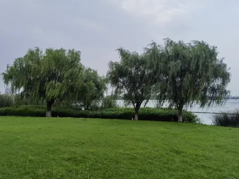 西山漾4