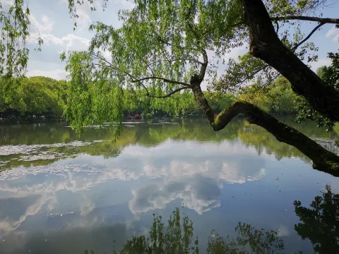 小瀛洲32