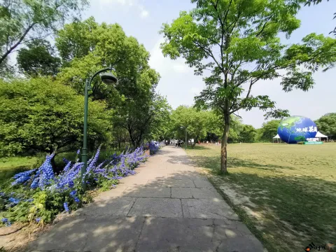 西溪花朝节