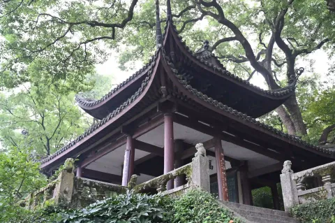 孤山公园18