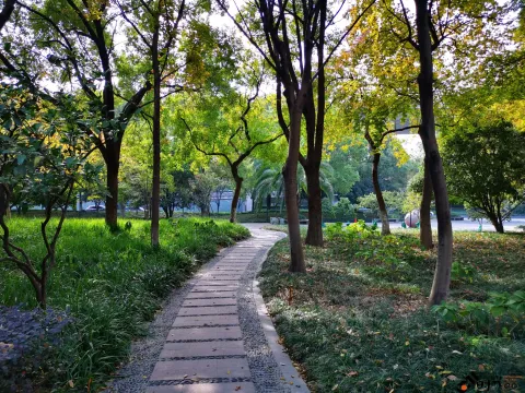 不错的景色