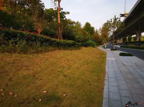 秋季的草地