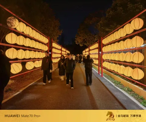 玉环漩门湾农业观光园灯会10