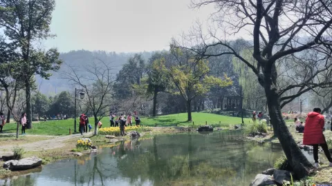 太子湾公园