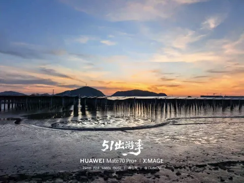 薄刀嘴的黄昏5