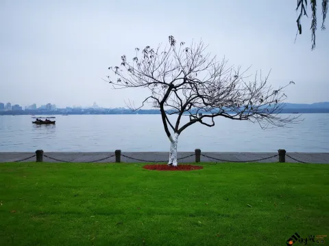 西湖，白堤