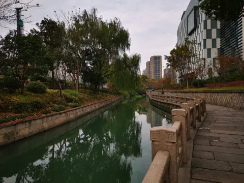 小河道景色