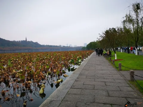 残荷