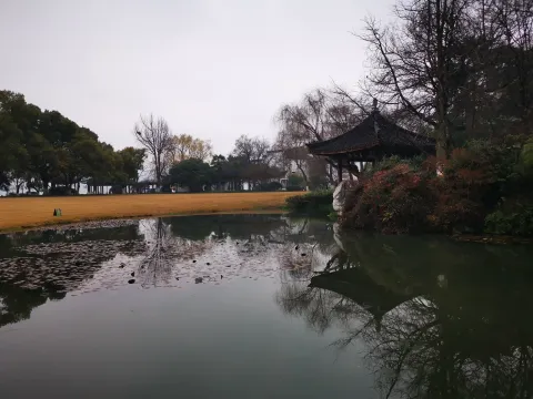 柳浪闻莺15