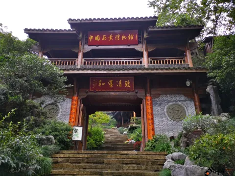 中国茶叶博物馆（龙井馆区）