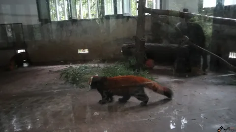 杭州动物园