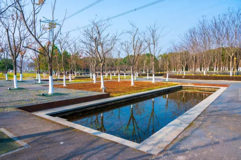 长田漾湿地公园14