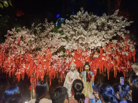 黄龙洞夜游10