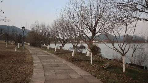 湘湖边的景色