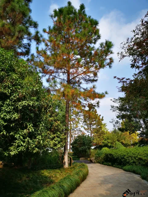 滨江公园一景