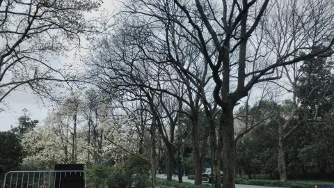 玉古路景色
