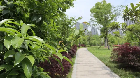 杭州国际博览中心南侧景色