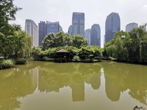 钱江新城森林公园