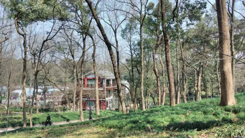 太子湾公园