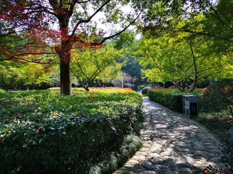 钱塘江大桥南岸的公园景色