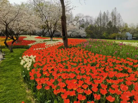 太子湾踏春23