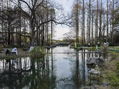 杭州太子湾公园10