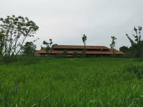 良渚遗址公园6