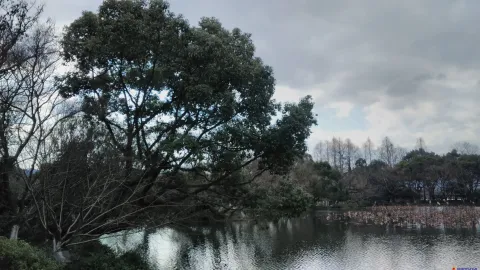 小瀛洲岛上风景