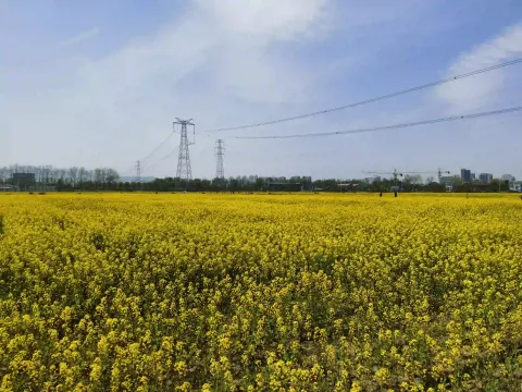 田园牧歌8