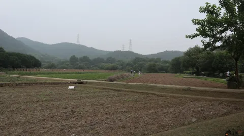 玉皇山下八卦田的景色
