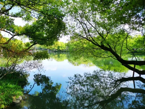 小瀛洲21