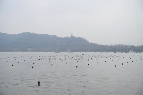 西湖景色3